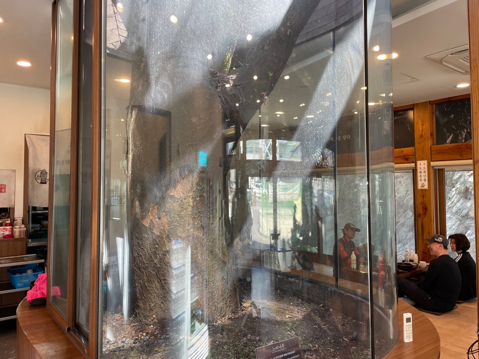 제주면장