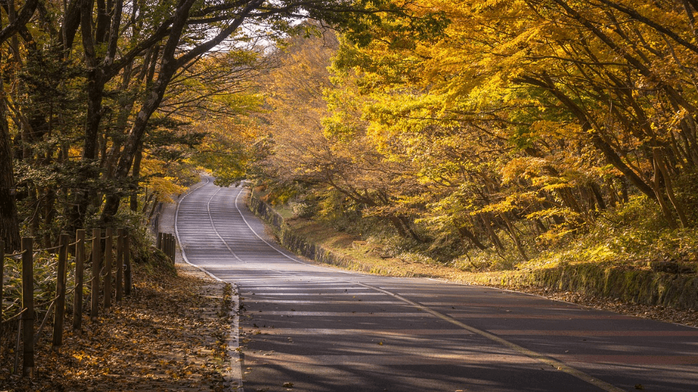 제주도 청년 전기차 보조금 관련사진