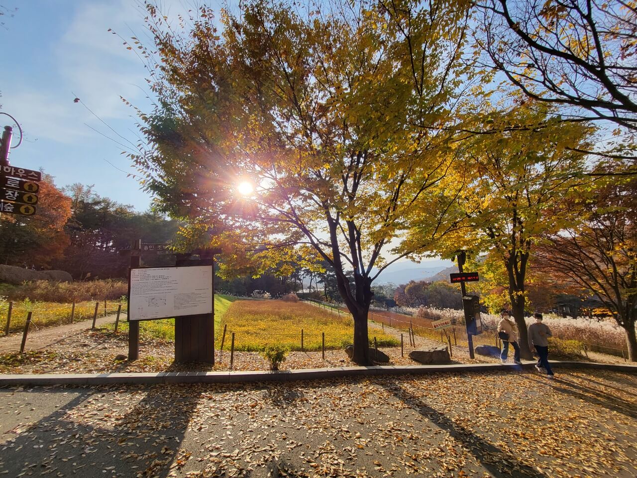 용인자연휴양림 풍경