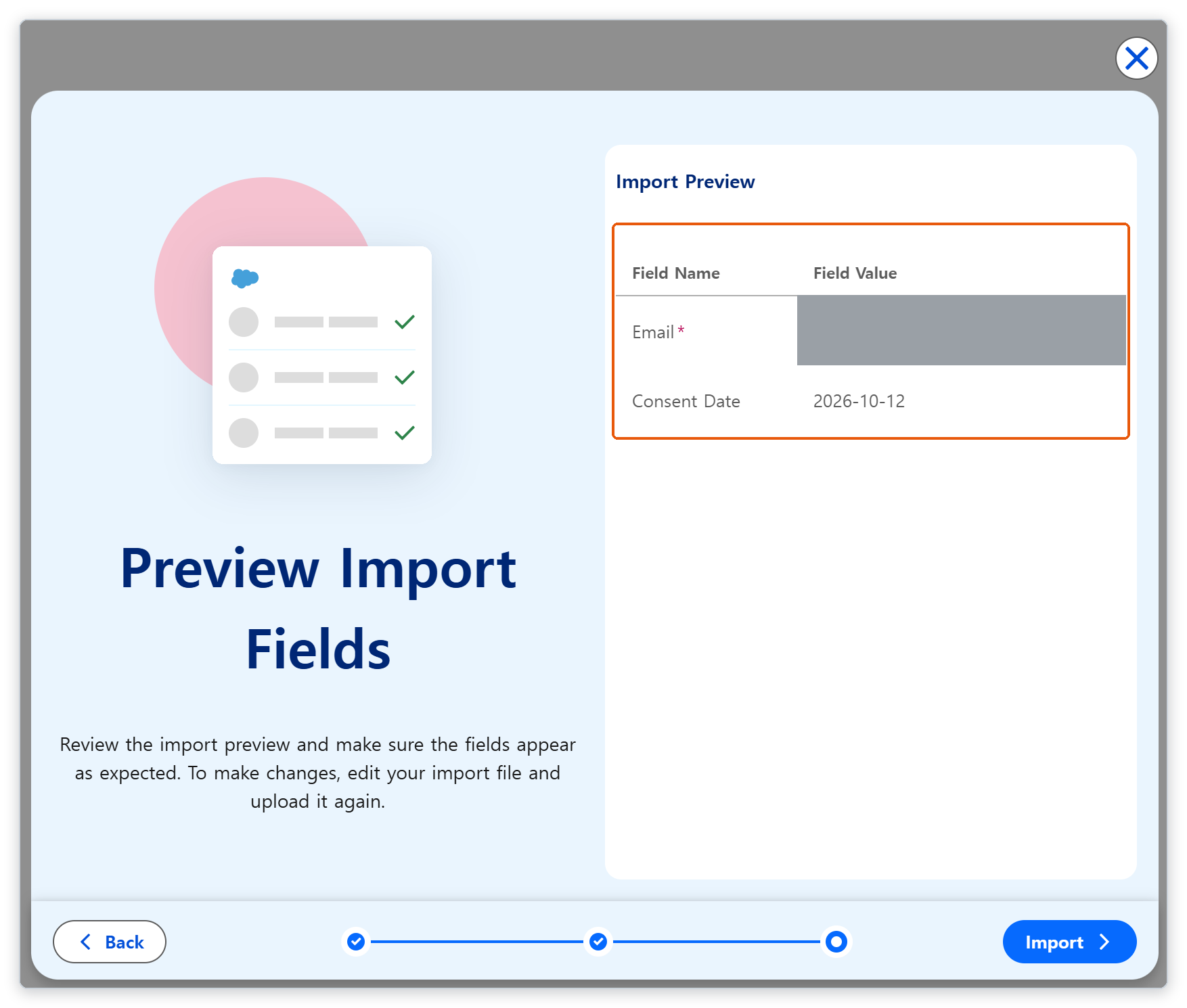 Import Preview 표의 Email과 Consent Date 필드가 강조되어 있다