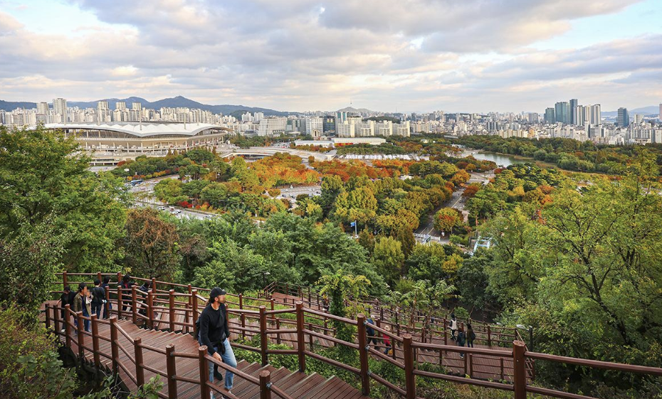 하늘공원 이미지