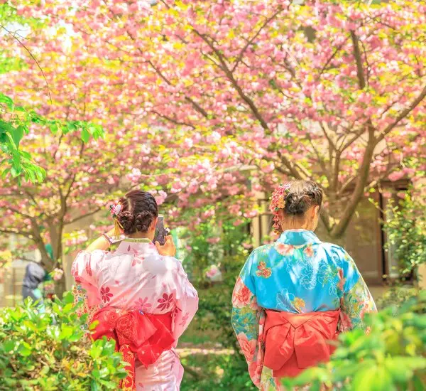 일본(Japan) &mdash; 역사 &middot; 문화 &middot; 경제 &middot; 고령사회 흐름의 총체적 개요