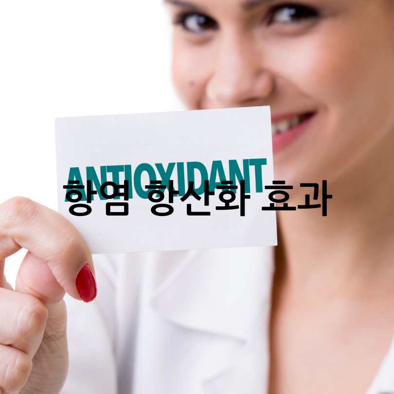 NMN영양제
