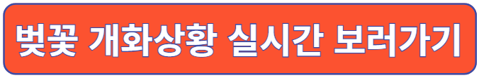 벚꽃 개화상황 실시간 보러가기