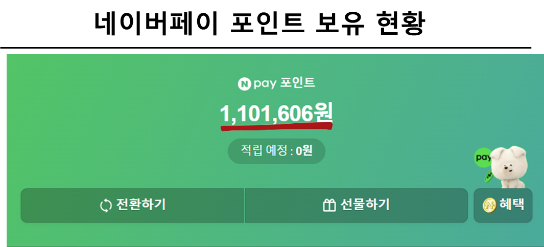 네이버페이 포인트 보유 현황