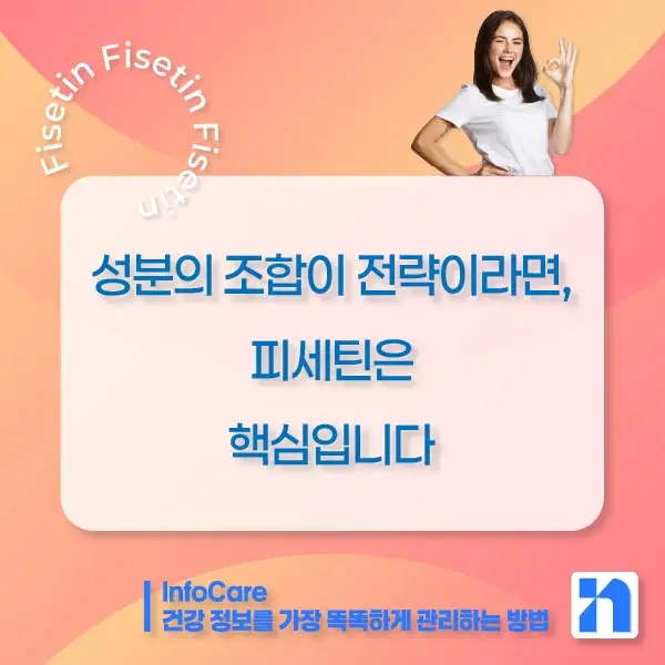 피세틴 효능 항산화 저속노화 노화방지 세놀리틱