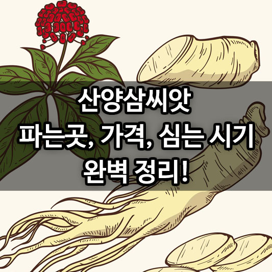 산양삼씨앗 파는곳, 가격, 심는 시기까지 완벽 정리!