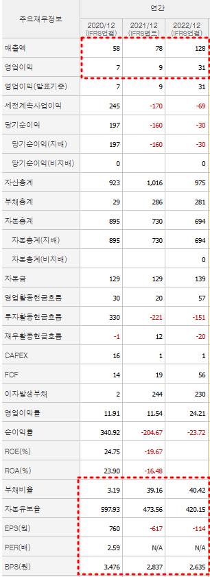 미래아이앤지 재무제표
