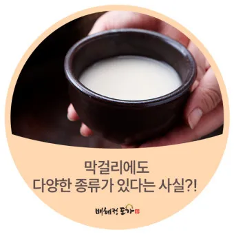 막걸리 종류 도수 브랜드_22