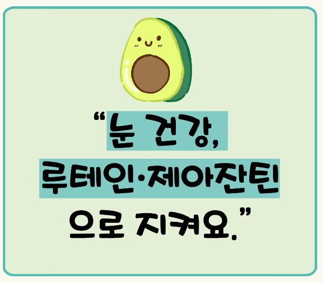 아보카도 효능 부작용