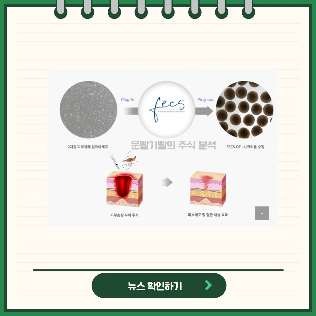 에스바이오메딕스 뉴스