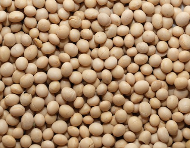 당뇨에 좋은 음식 21