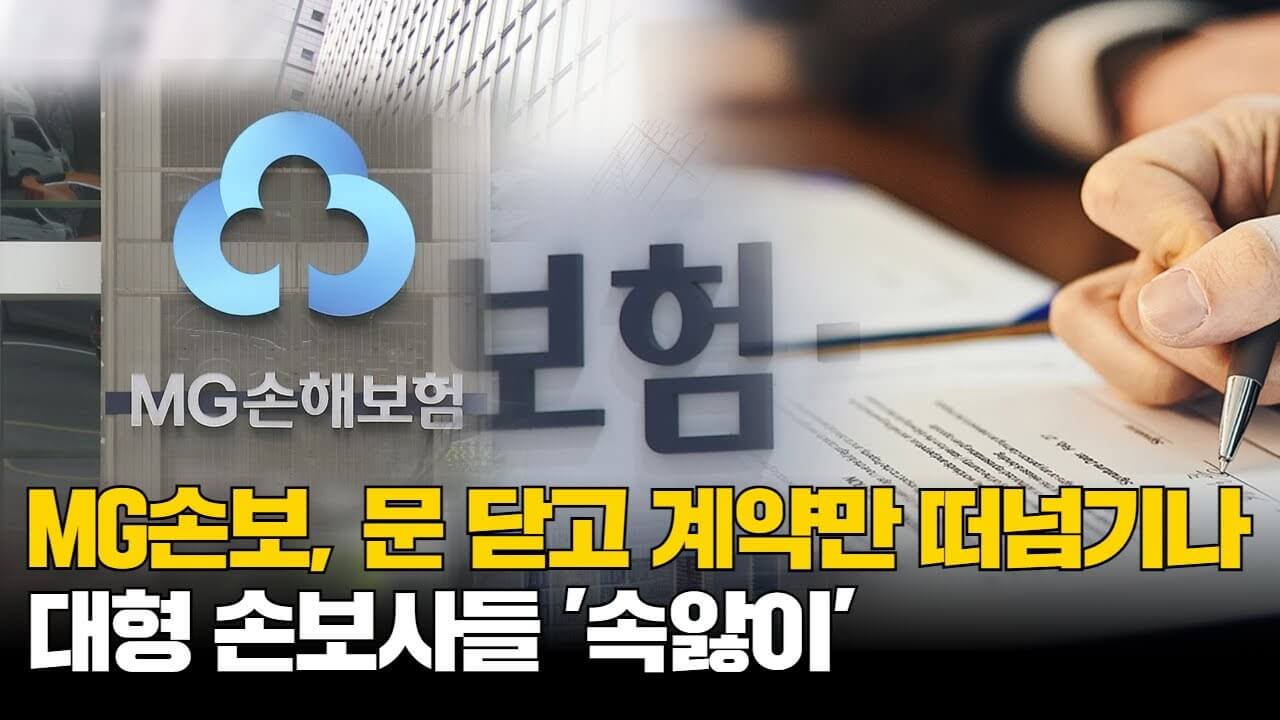 MG손해보험 파산 매각 2차 국민청원