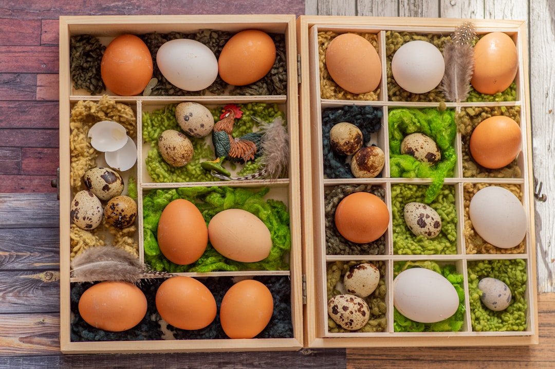 Incubator