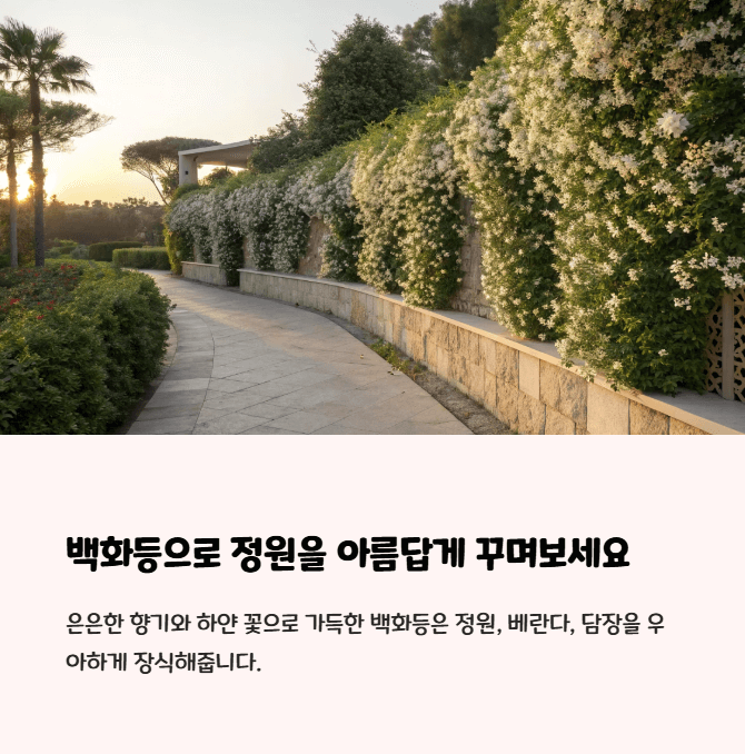 백화등