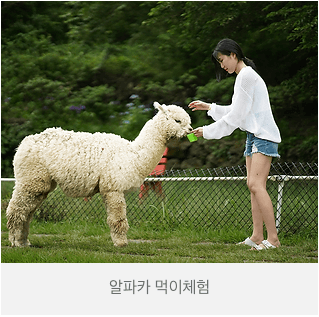 제주 화조원 티켓 (화조원 사이트 사진참조)