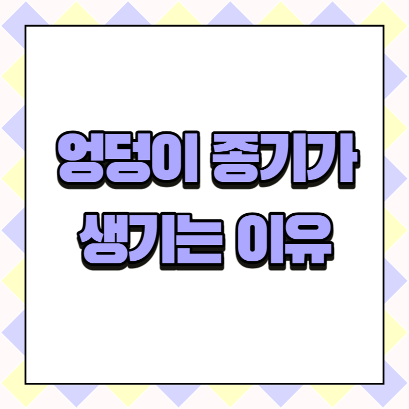 엉덩이 종기가 생기는 이유