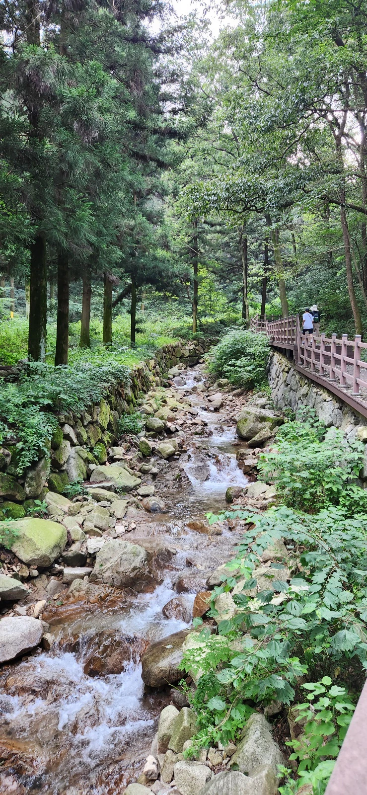 장성 치유의숲 계곡에서 세수하다. 