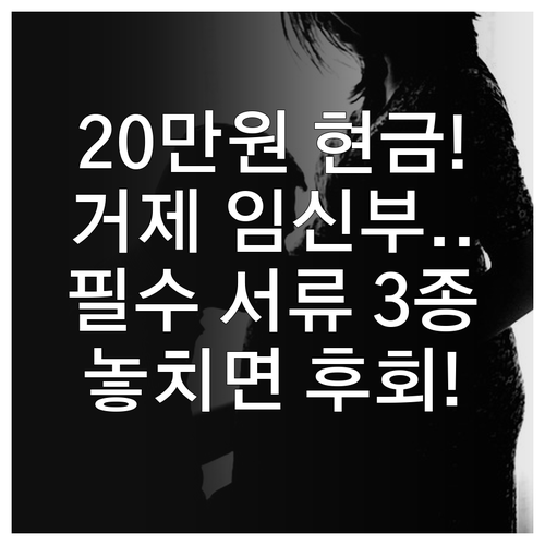 거제시 임신부 20만원 현금 지원 2..