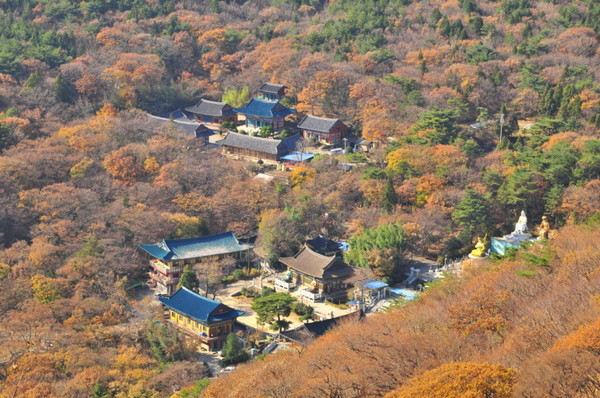 가을 단풍 명소