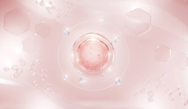 콜라겐-효능-추천-부작용