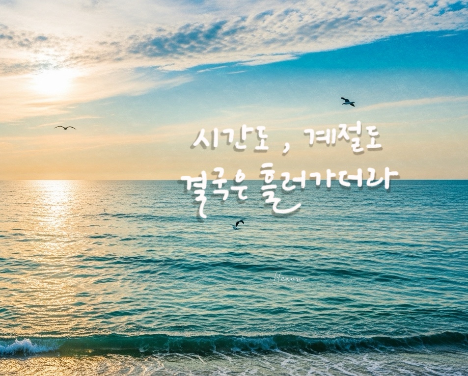 8월 감성 캘리그라피 글귀 모음(30개) - 여름의 끝자락에서 마음을 적시는 문장들