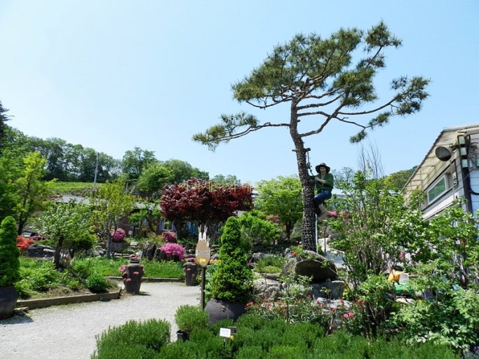 포천 허브아일랜드