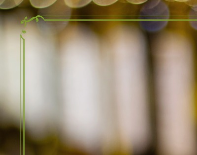 올리브오일 효능