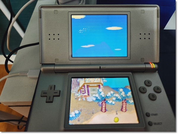 닌텐도 dslite 충전기