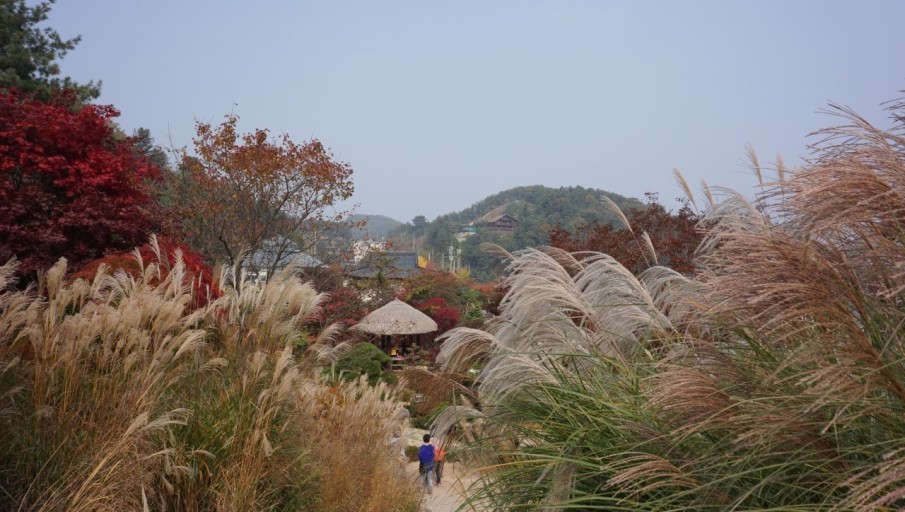 아침고요수목원