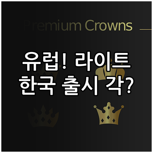 유튜브 프리미엄 라이트 약관 유럽 모..