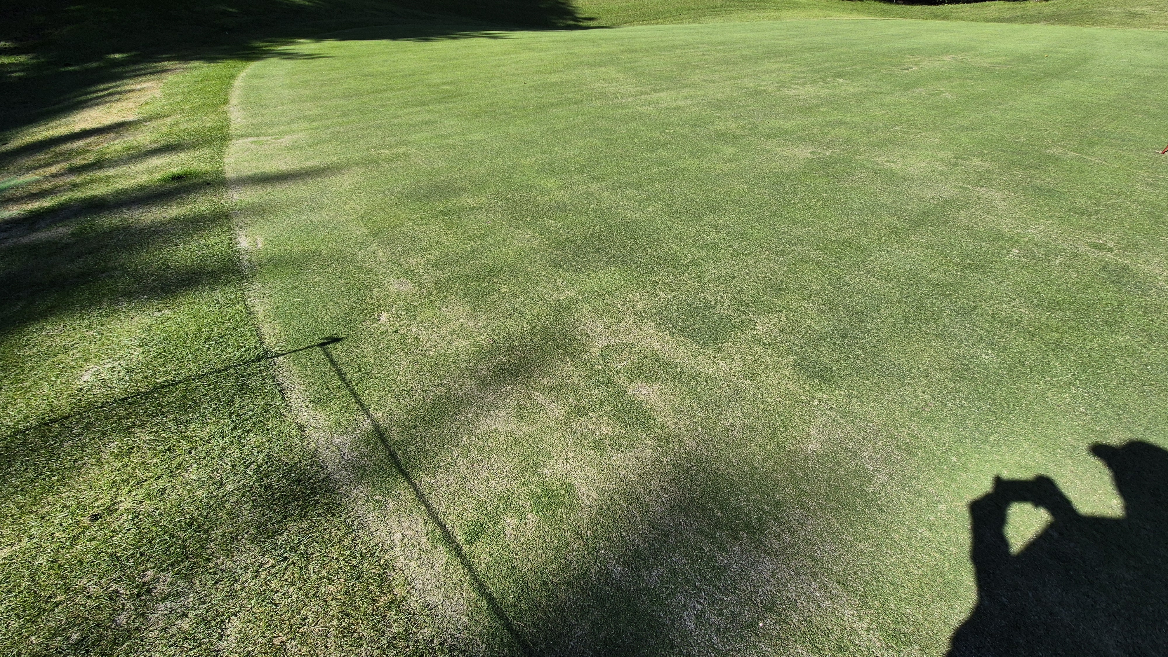 떼제베cc 동-북 코스 그린 관리 상태