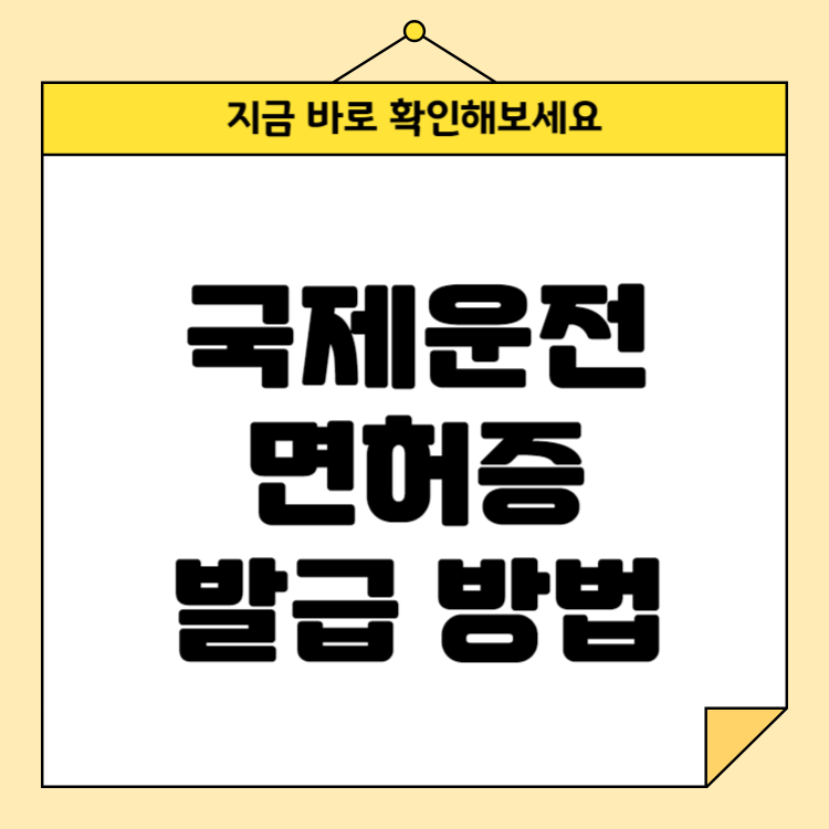 국제운전면허증 발급 방법: 준비물부터 신청까지 완벽 가이드