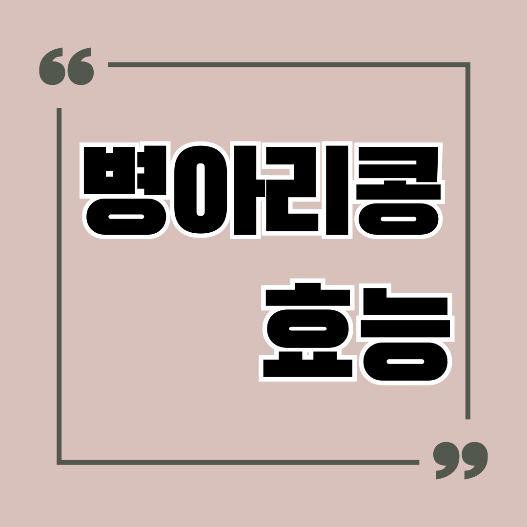 병아리콩 효능