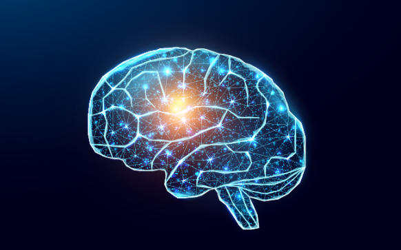 포스파티딜 세린 추천