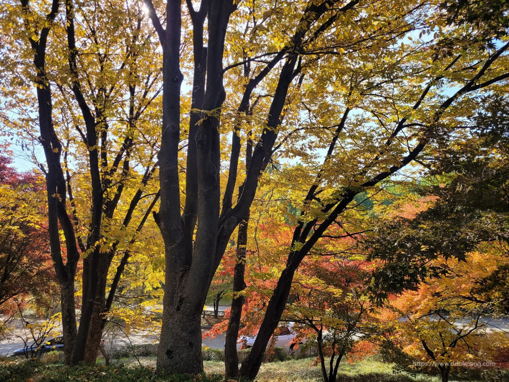 그림 같이 단풍이 물든 풍경