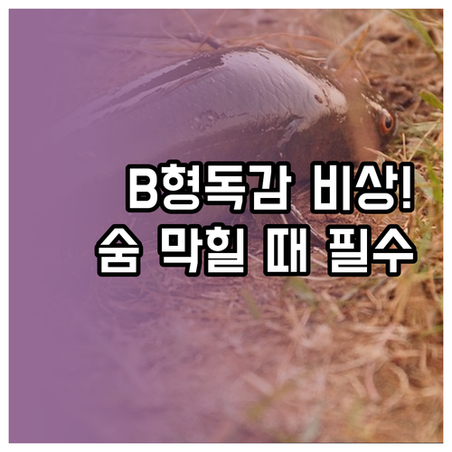 비염 천식 환자 B형 독감 위험성 및..