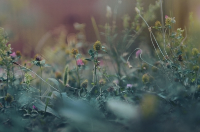 저공해차 스티커 발급