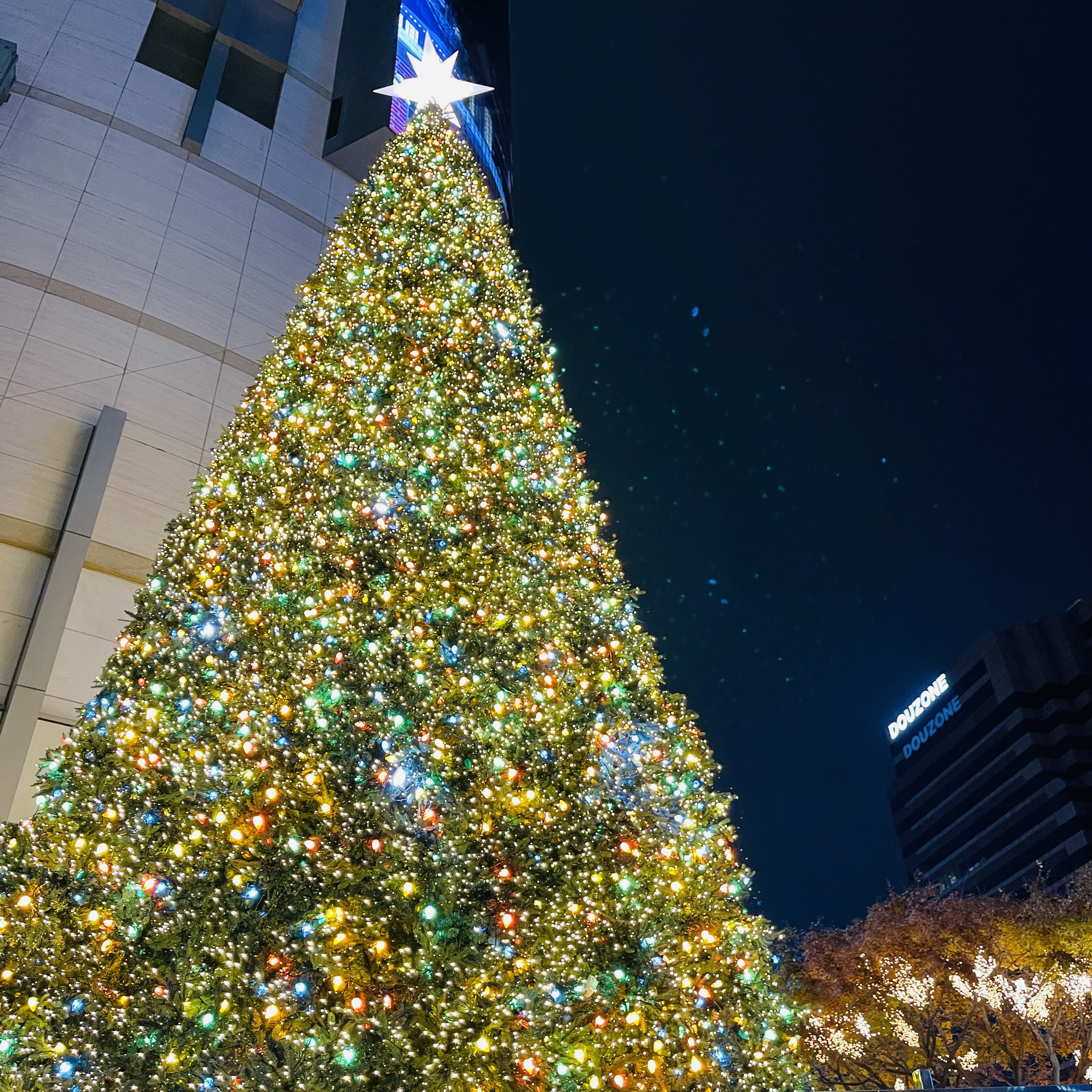 2025 서울 크리스마스 명동 신세계 백화점 미디어 파사드 야경