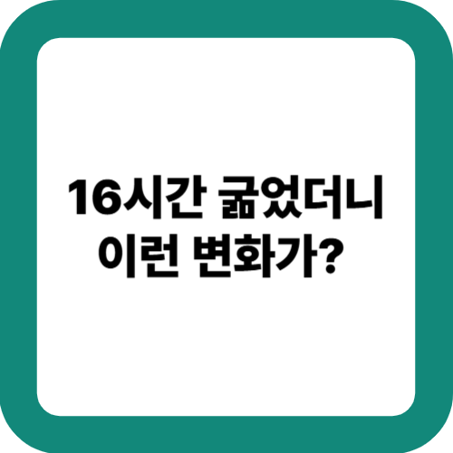 16시간 굶었더니 이런 변화가?