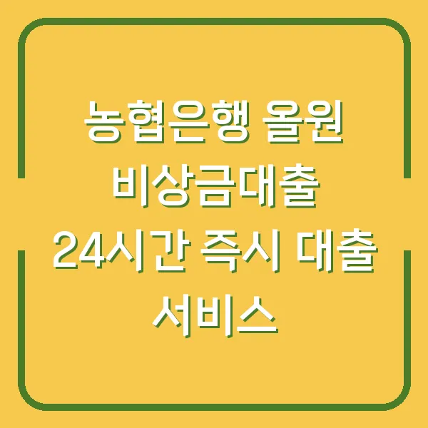 농협은행 올원 비상금대출 24시간 즉시 대출 서비스