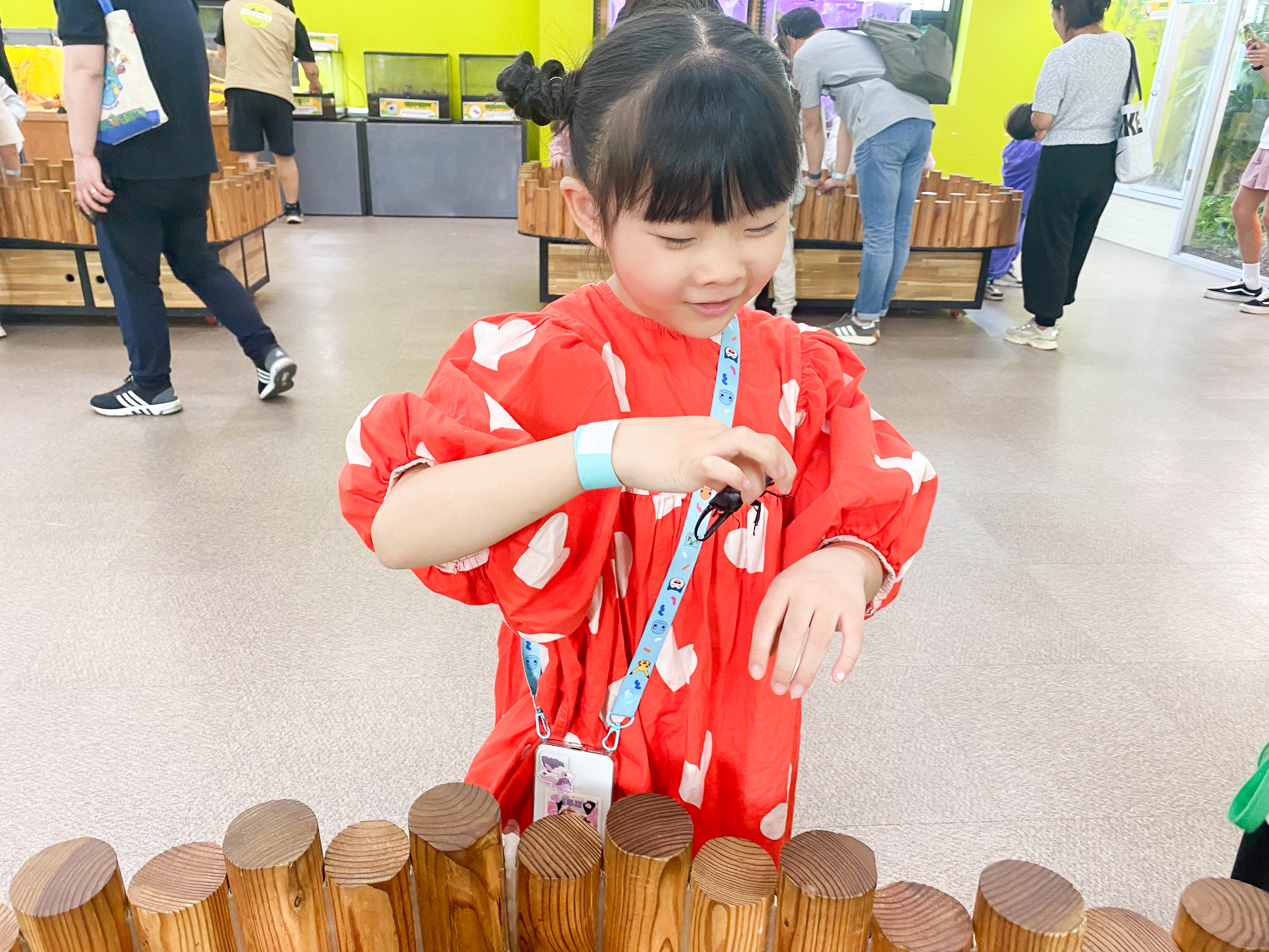 왕사슴벌레 만져보기