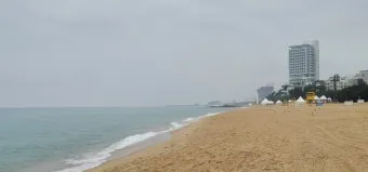 경포 해변 파도 높이 바람 방향 아이 동반 수영 안전_5