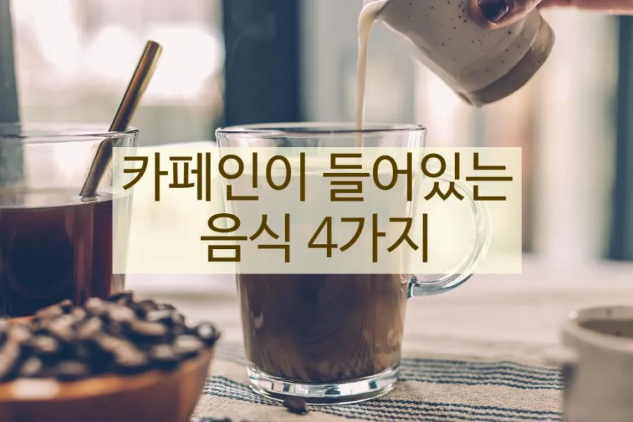 카페인이 들어있는 음식 4가지