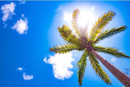 동남아의 숨겨진 낙원 – 관광객이 모르는 아름다운 섬 5곳