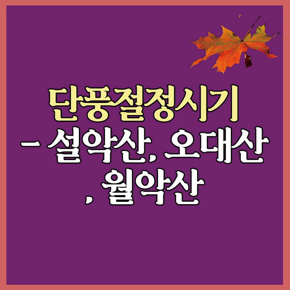 단풍절정시기 BEST 3 - 설악산, 오대산, 월악산