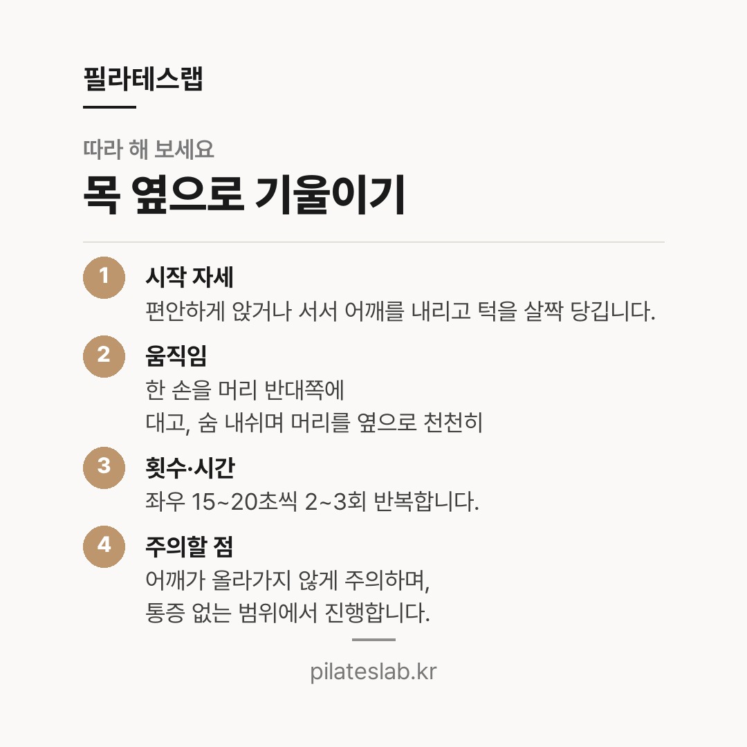 목 옆으로 기울이기 따라 하기
