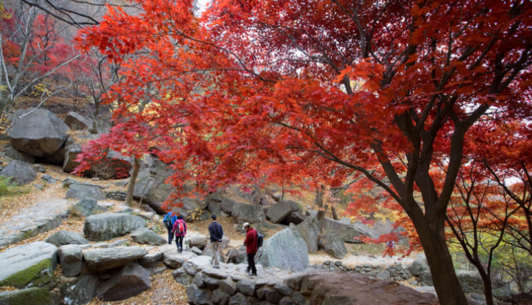 금오산 등산코스