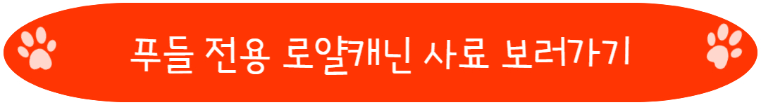 푸들 전용 로얄캐닌 사료