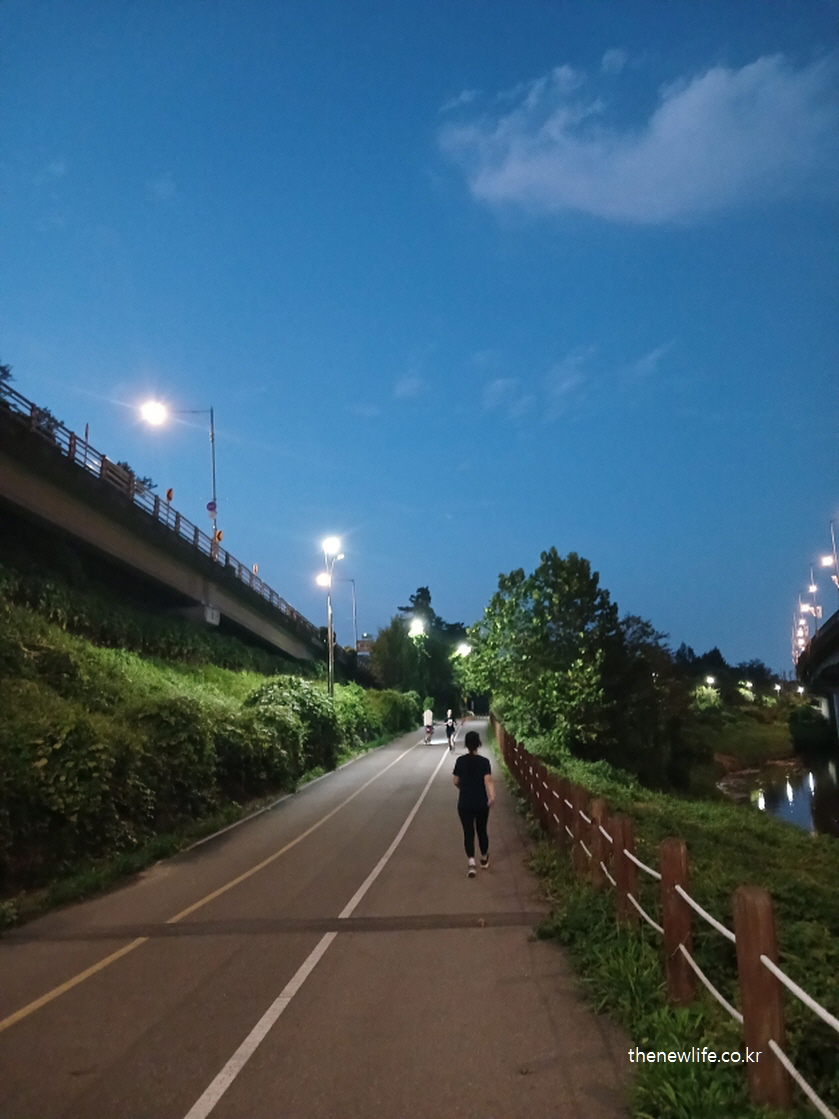 저녁 시간 강변 산책로에서 걷기 운동을 하는 사람 – 걷기 운동 보폭 예시